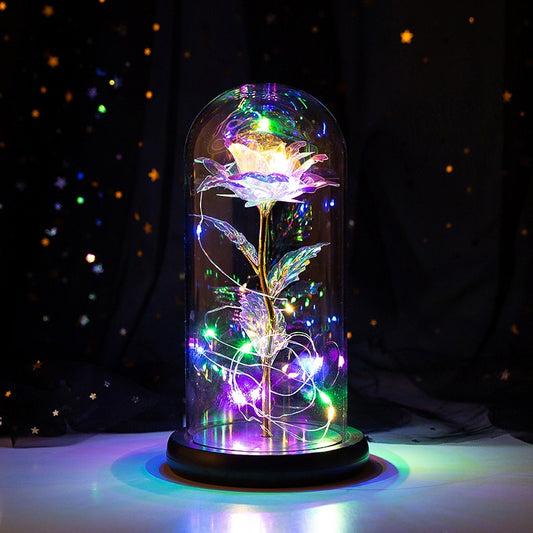 Beauty and Beast Light Galaxy Rose Flower Glass Cover LED Battery Lamp